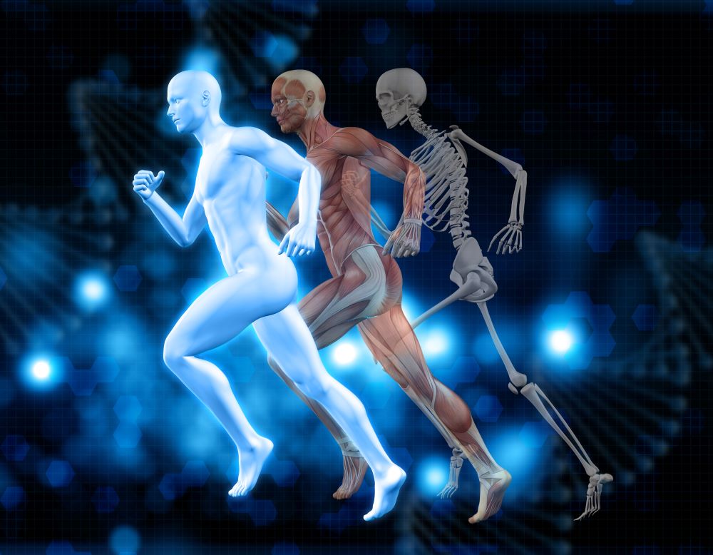 strong bones